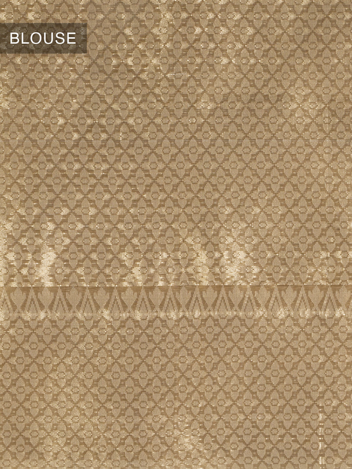 Gold Kora Organza Jamdani Saree